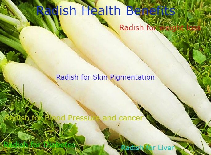 Radish Benefits You Know These Extraordinary & Secret Benefits