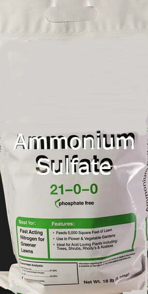 Ammonium Sulfate | Fertilizer How To Work Perfectly For Crops